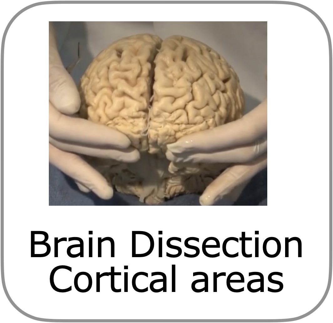 to dissectie introductie