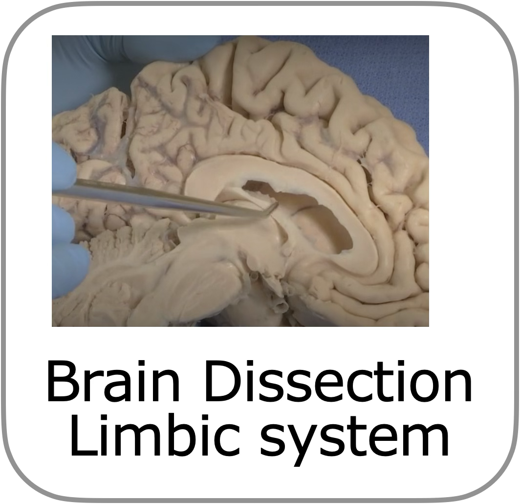 to dissectie introductie