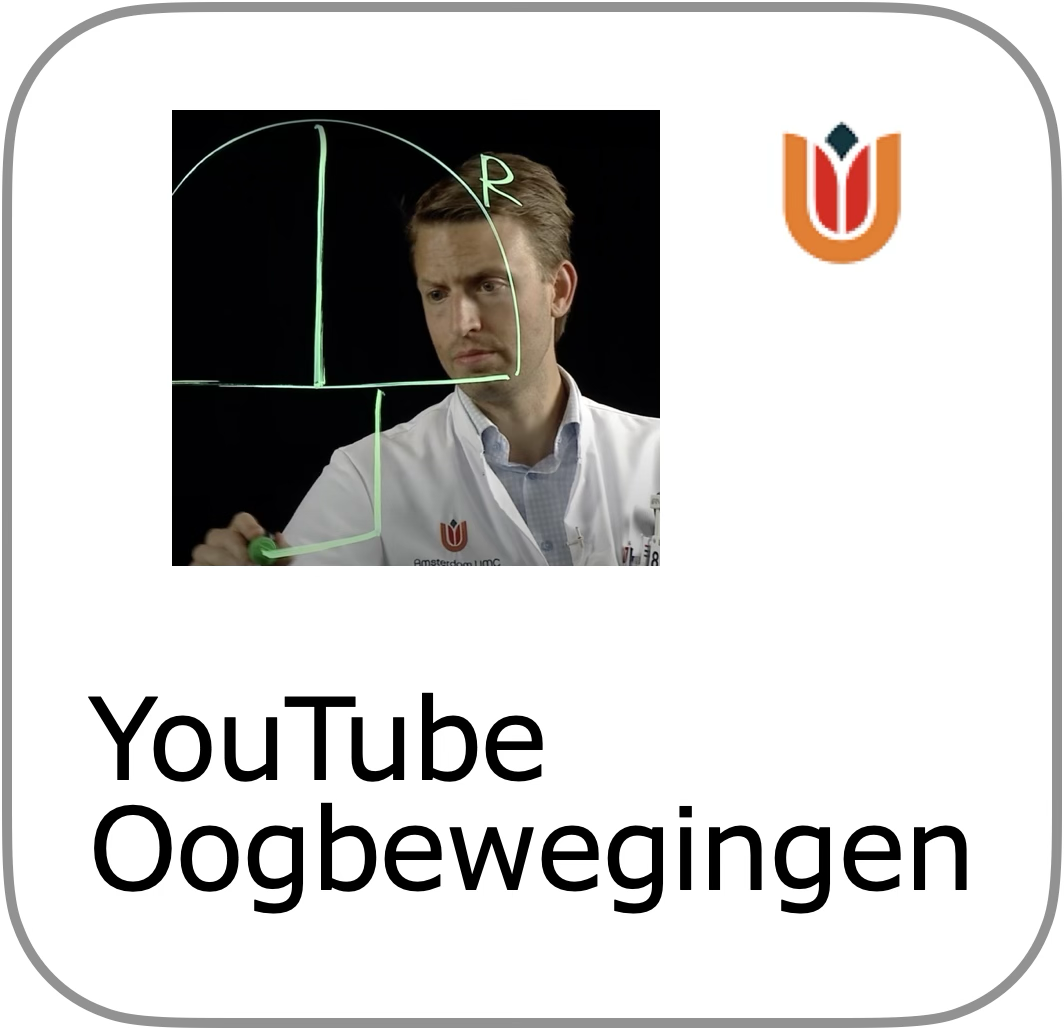 to uitleg visuele systeem