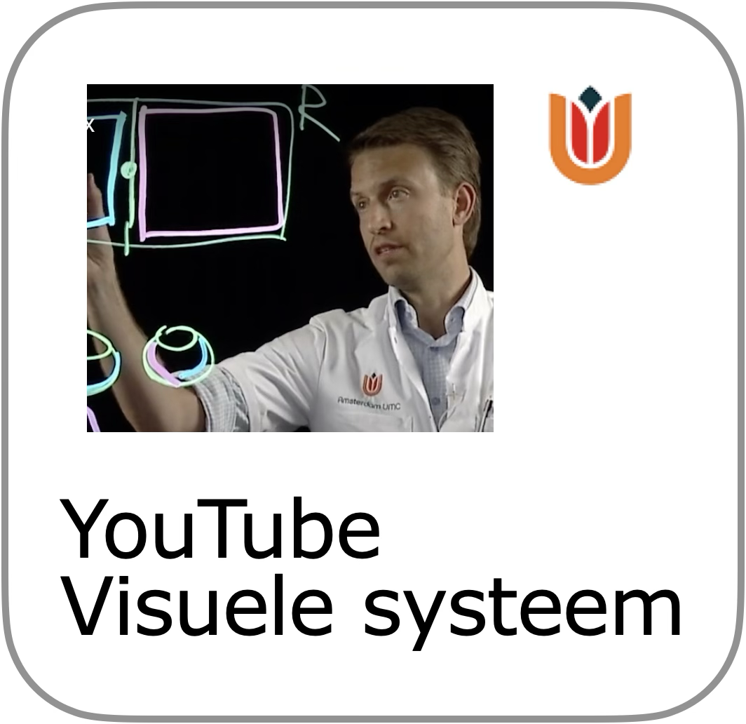to uitleg visuele systeem
